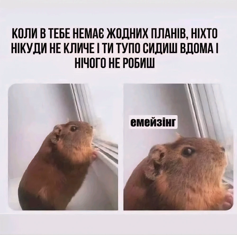 Гіфку завантажив Dima