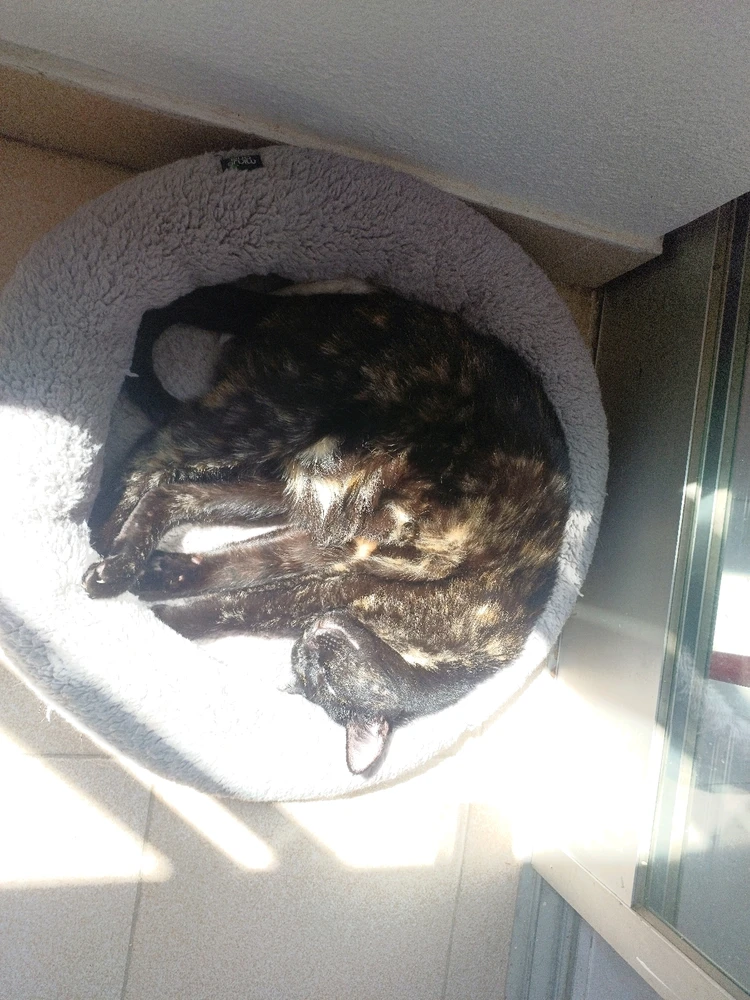 GIF enviado por Miguel