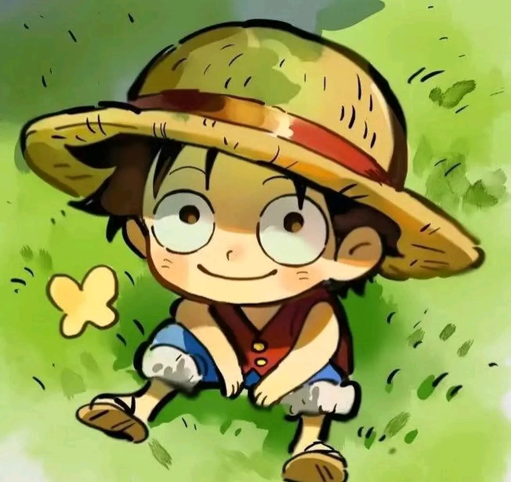 Idta上传的GIF