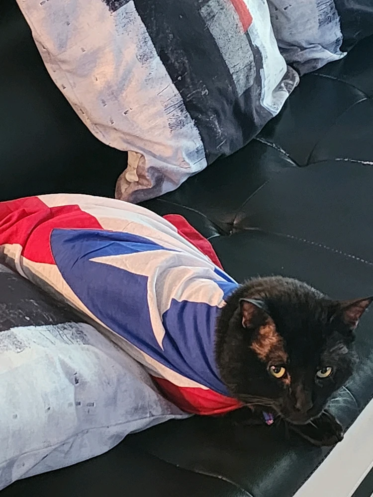 Imagen subida por Angel