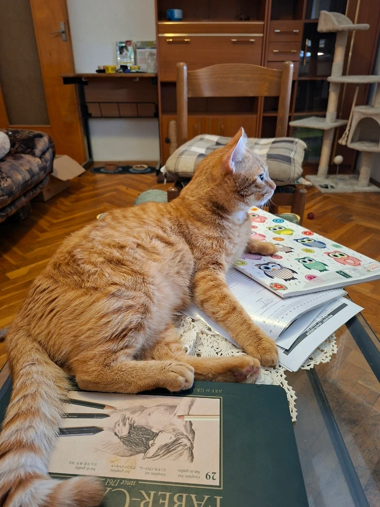 GIF uploaded by Filip