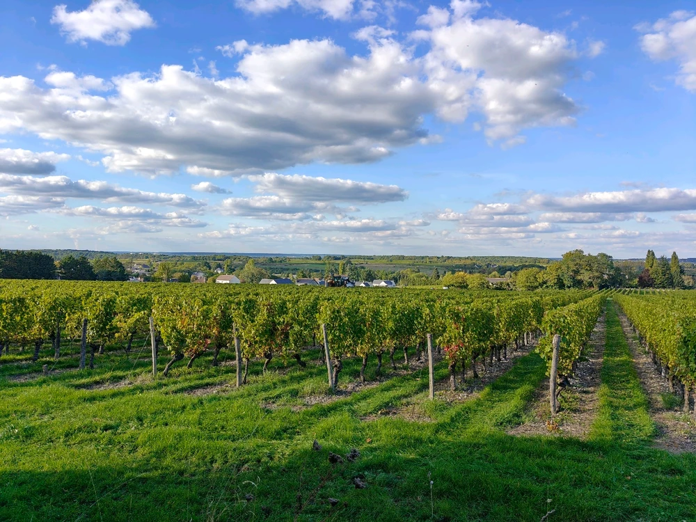 Image ajoutée par Damien