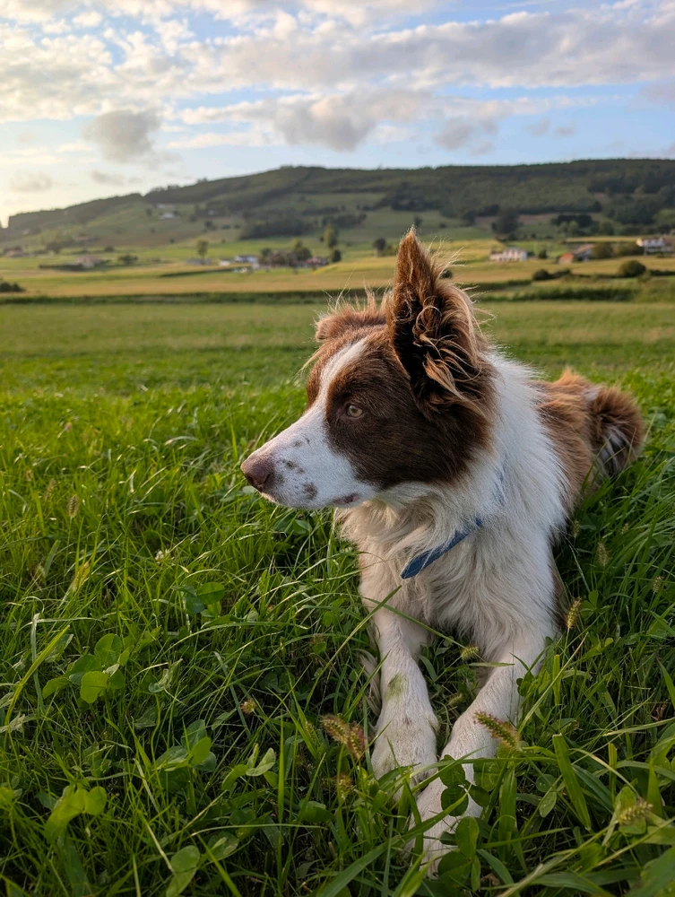 Su Historia sigue siendo un misterio, Chess ♥️