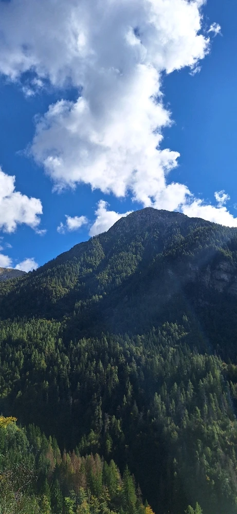 Immagine caricata da Gabriele