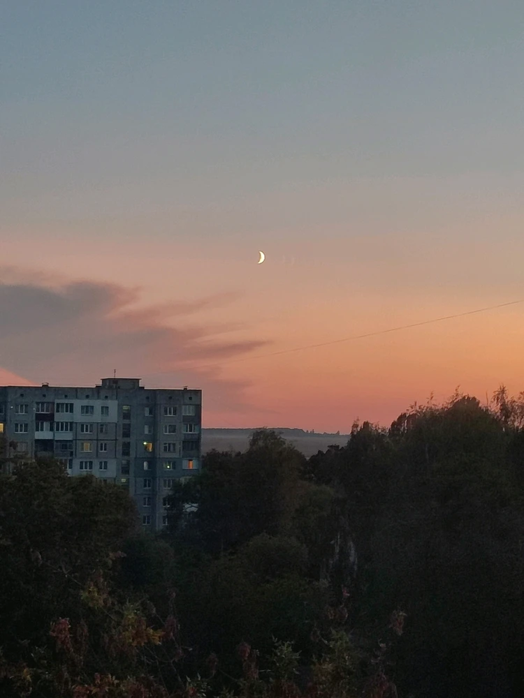 Гіфку завантажив Вікторія