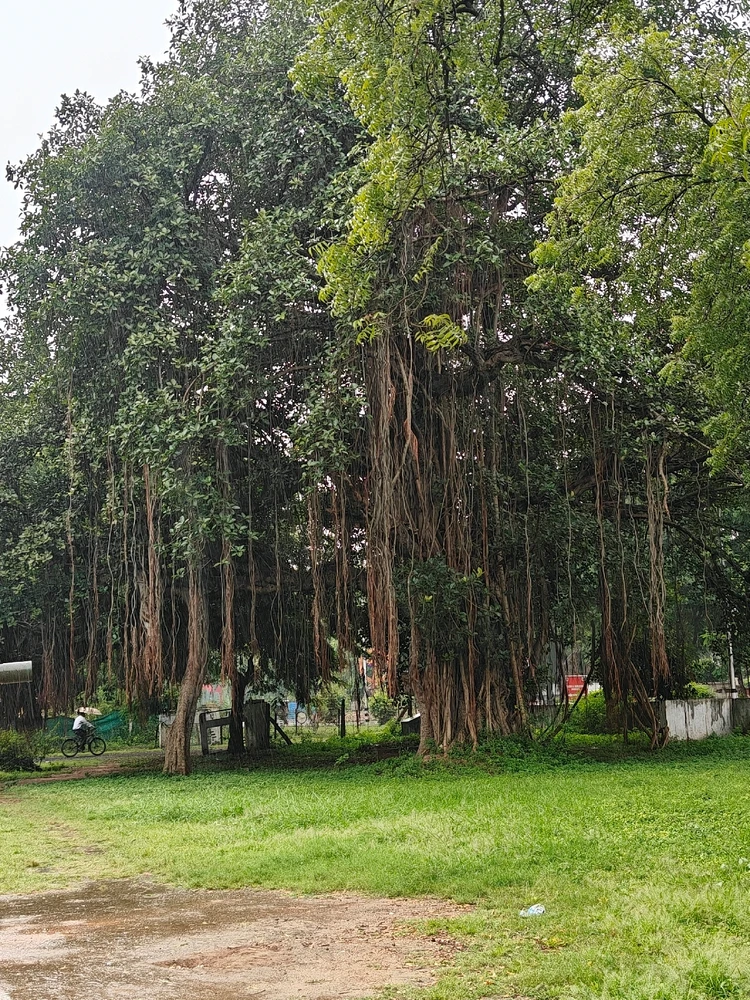 Image uploaded by Dhearya malde