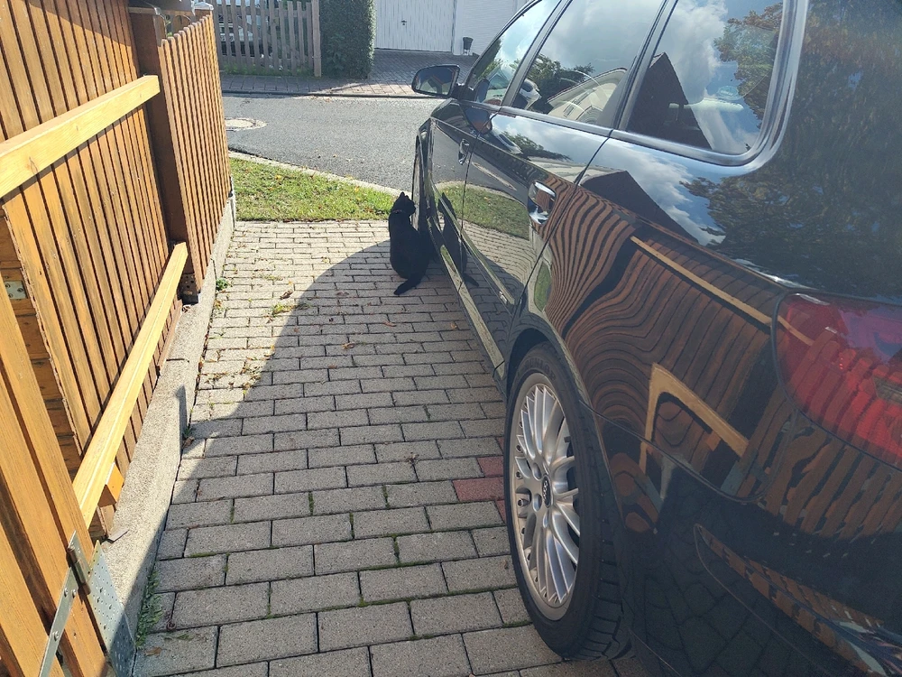 GIF hochgeladen von Dimi