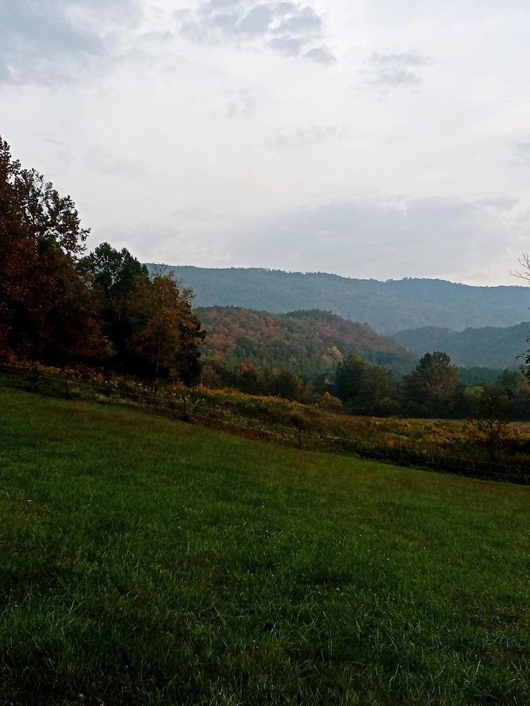 Image uploaded by Athena