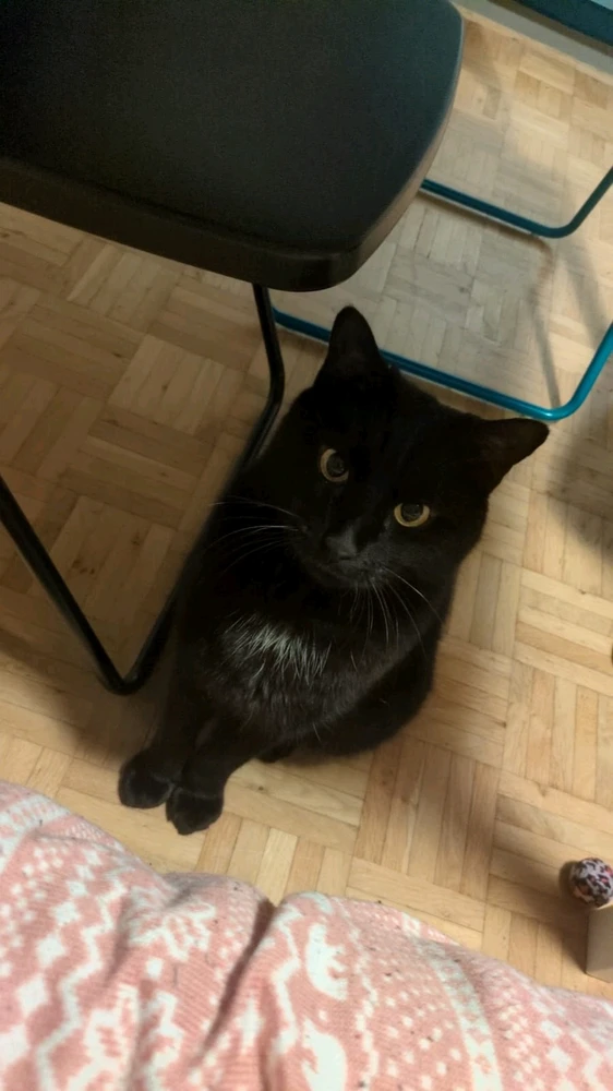 AlexがアップロードしたGIF