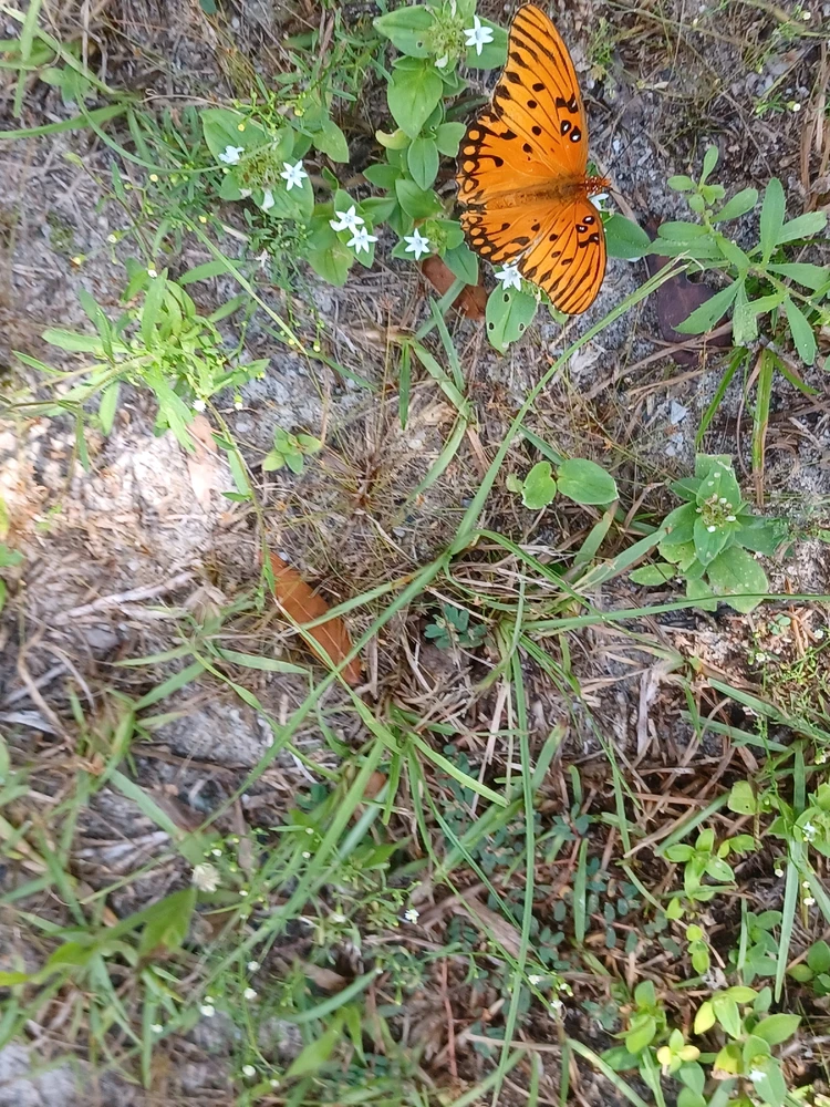 GIF uploaded by Adison