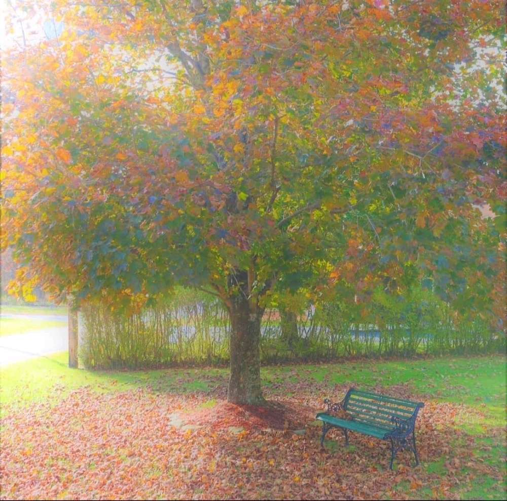 GIF uploaded by Stephen P.