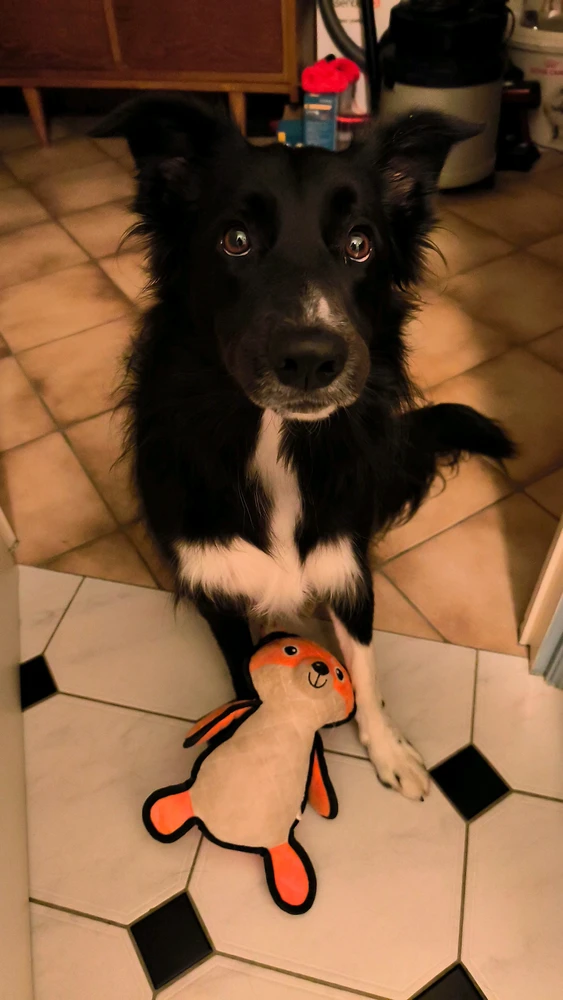 GIF ajouté par Aurélien