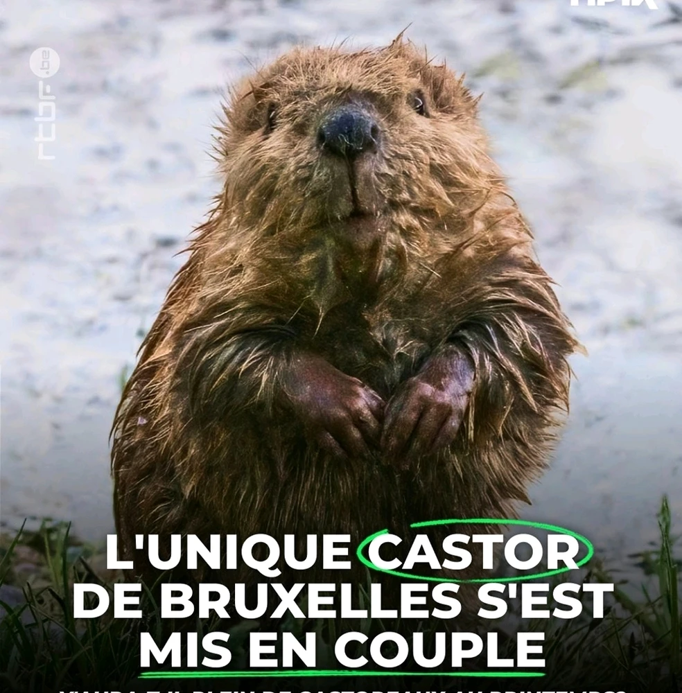 GIF ajouté par Steven