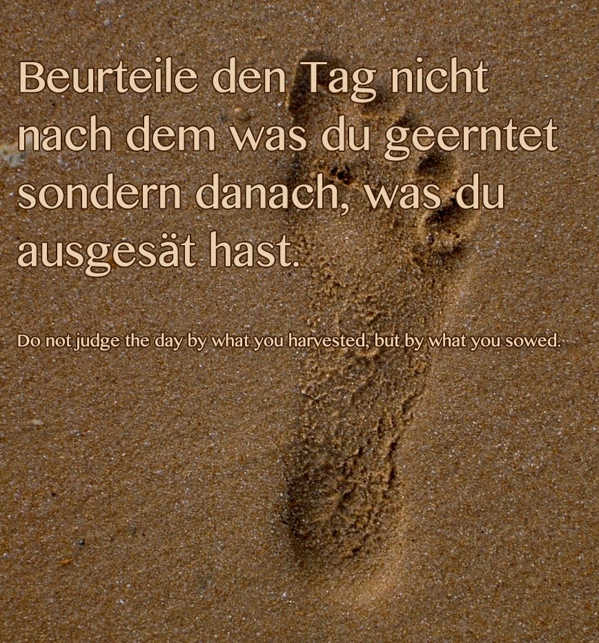 GIF hochgeladen von Ali💚💚💚
