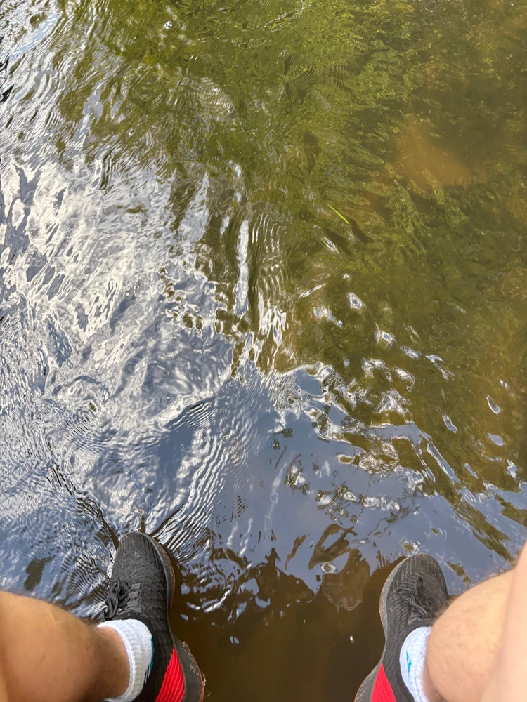 Фото загрузил Mykhail