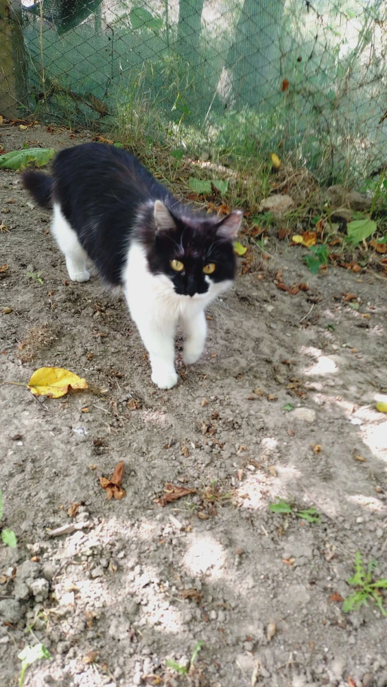 Imagine încărcată de Gabriel