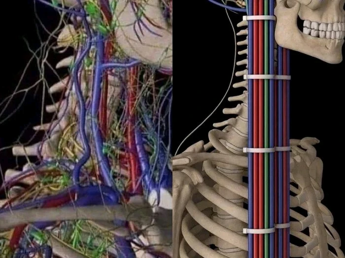 Obrázek nahrál Martin