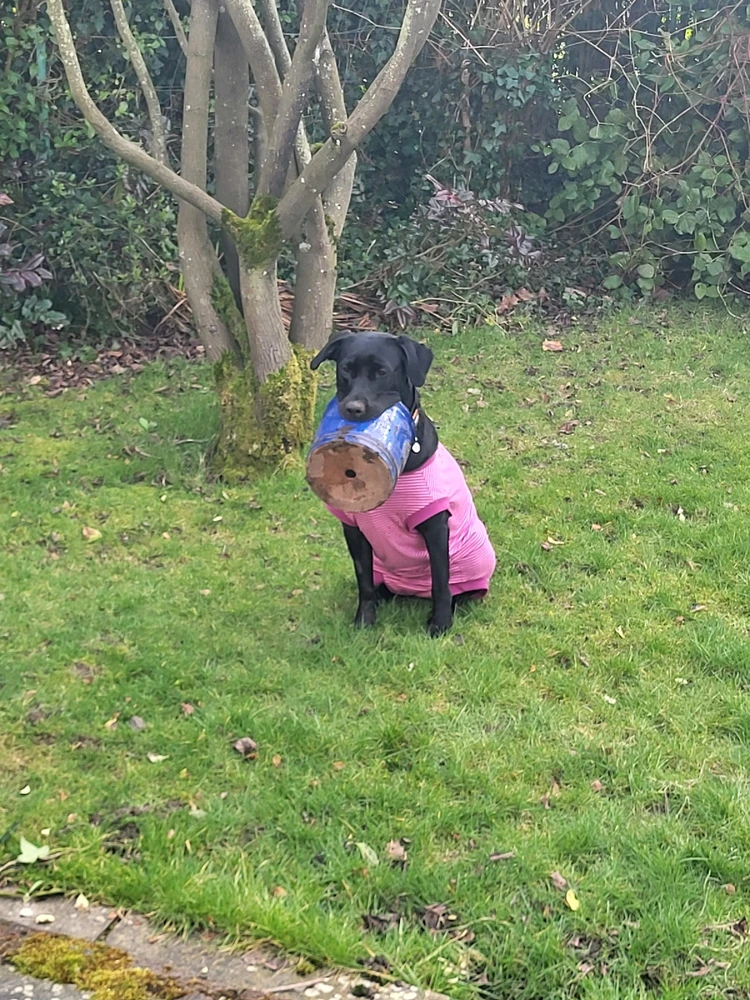GIF uploaded by Alex Thomas