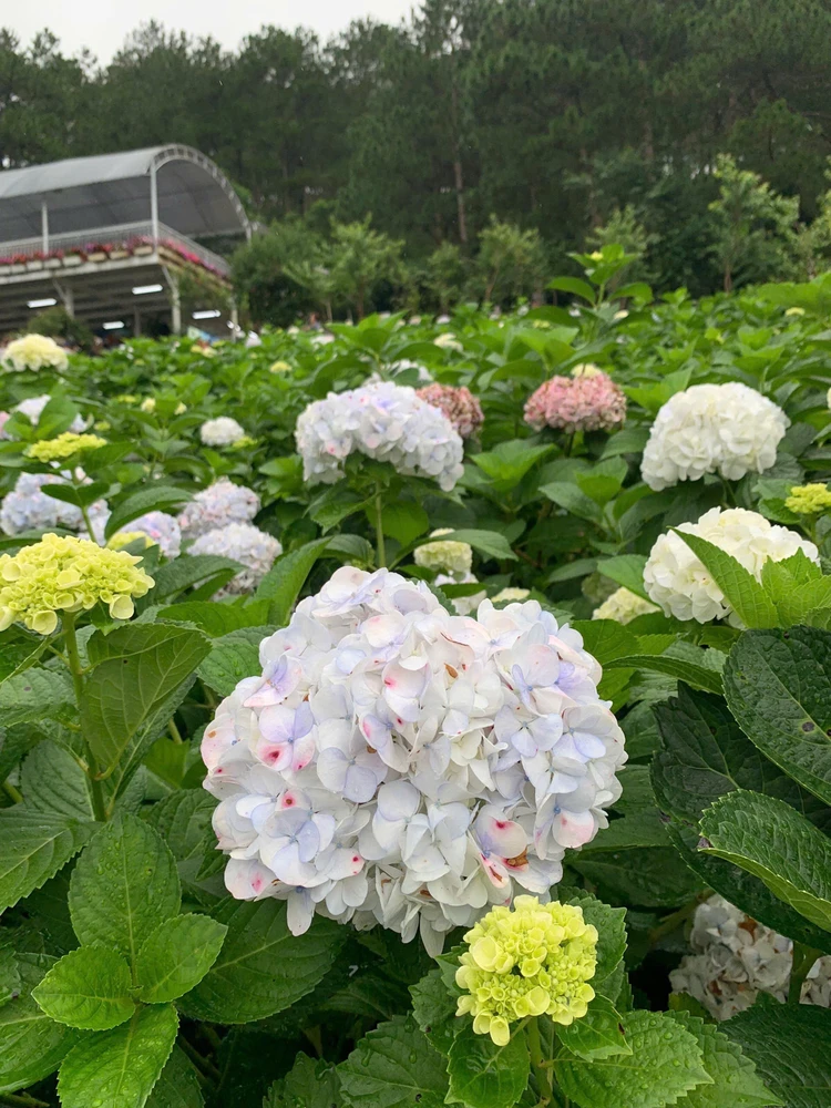 GIF uploaded by Ella