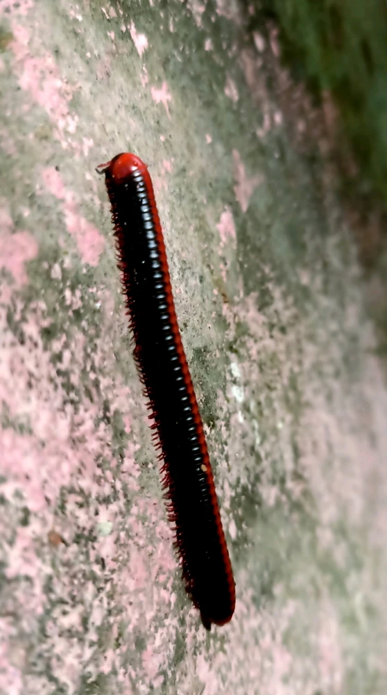 GIF diunggah dening Dhivagar