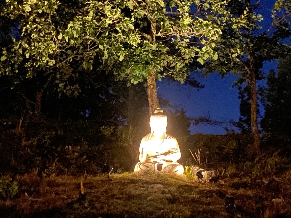 GIF uploaded by Thomas