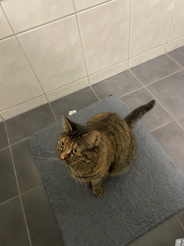 GIF uploaded by Milica