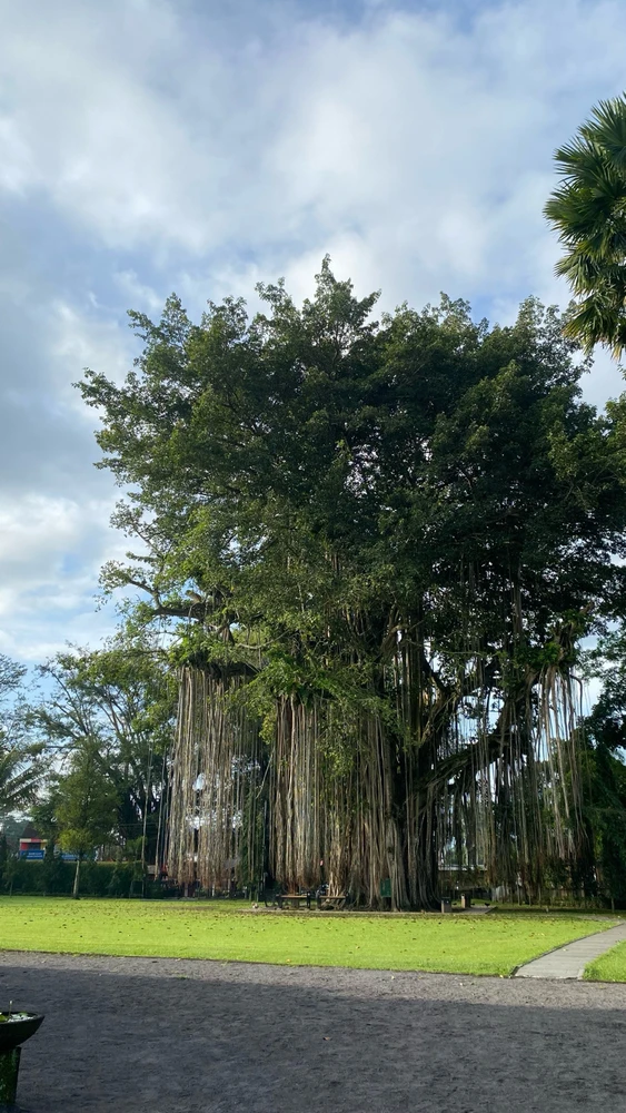 Image uploaded by Nadia