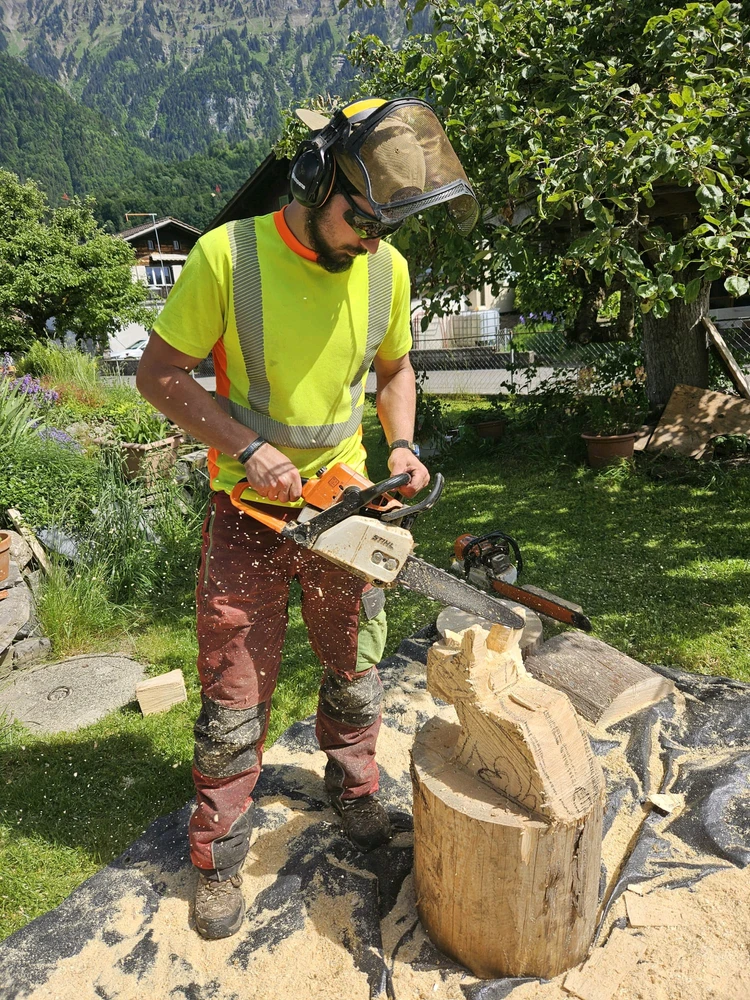 Bild hochgeladen von Felix