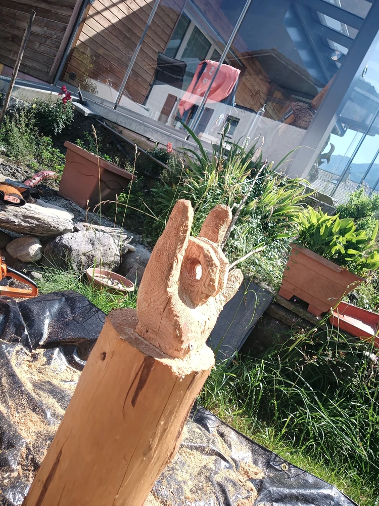 Bild hochgeladen von Felix