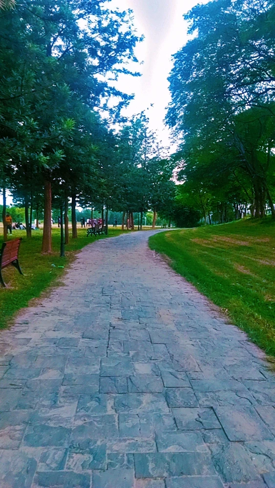 Image uploaded by Ahad