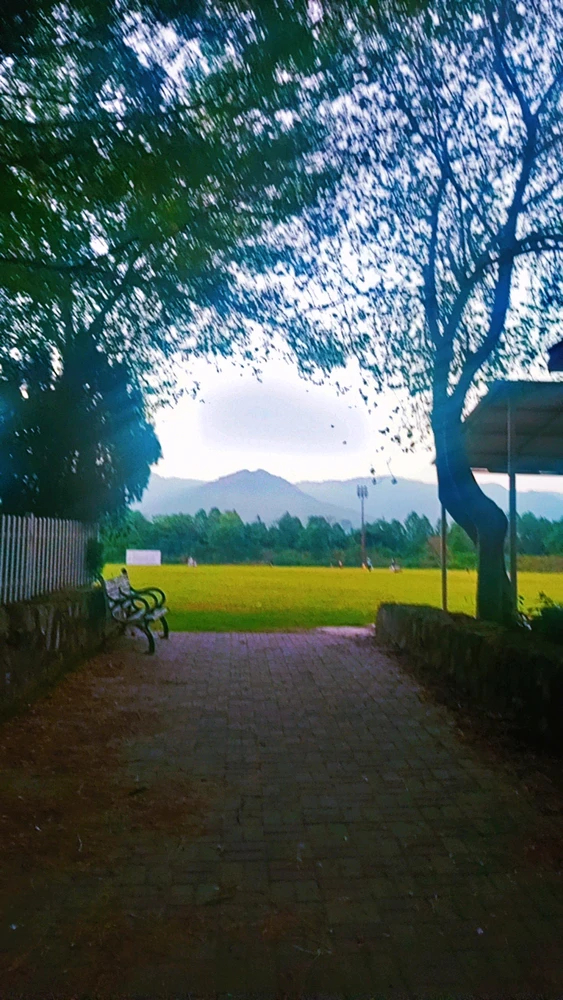 Image uploaded by Ahad