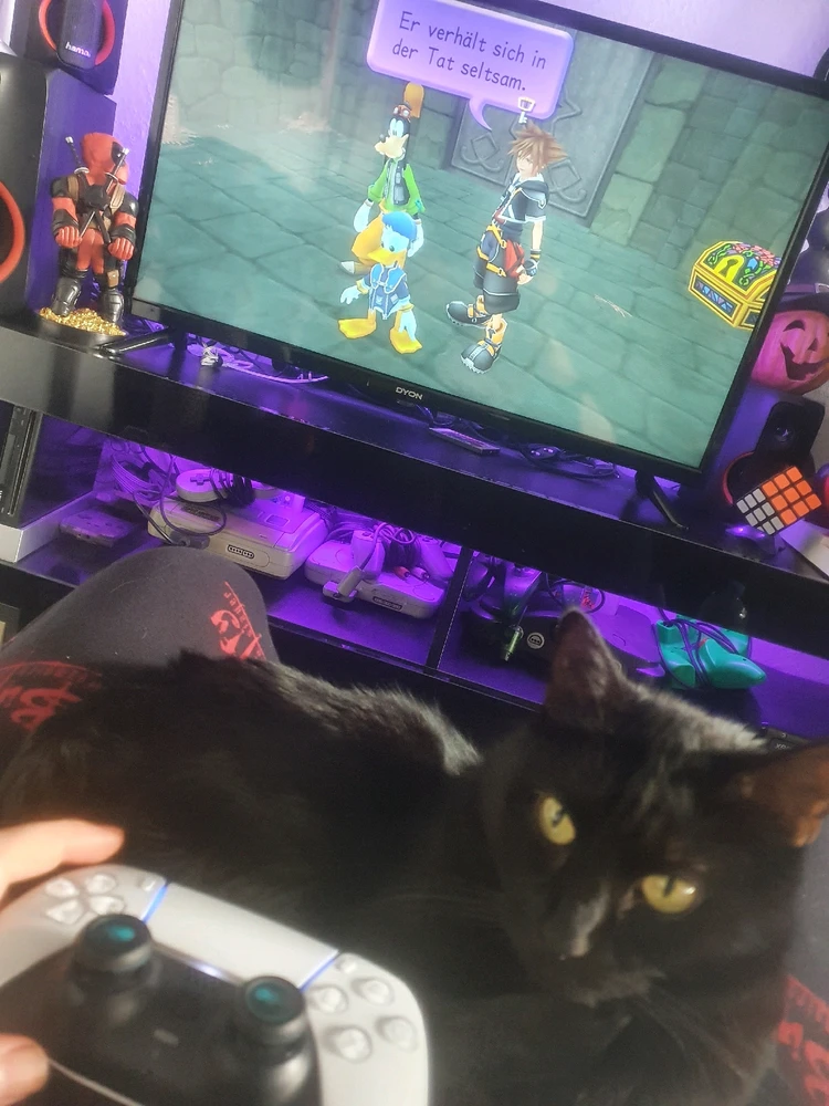 GIF hochgeladen von Angelina