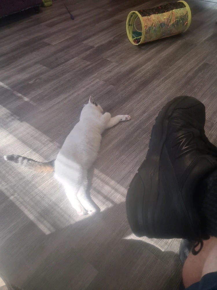 Image uploaded by Jordan