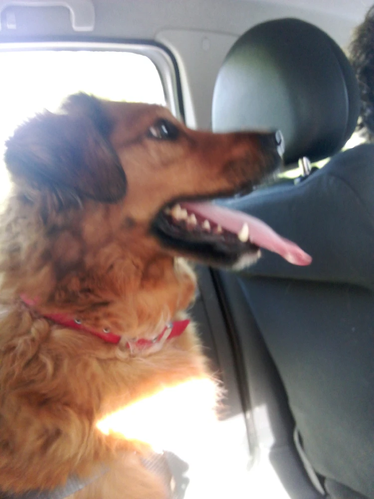 GIF uploaded by Aaisha Nóra