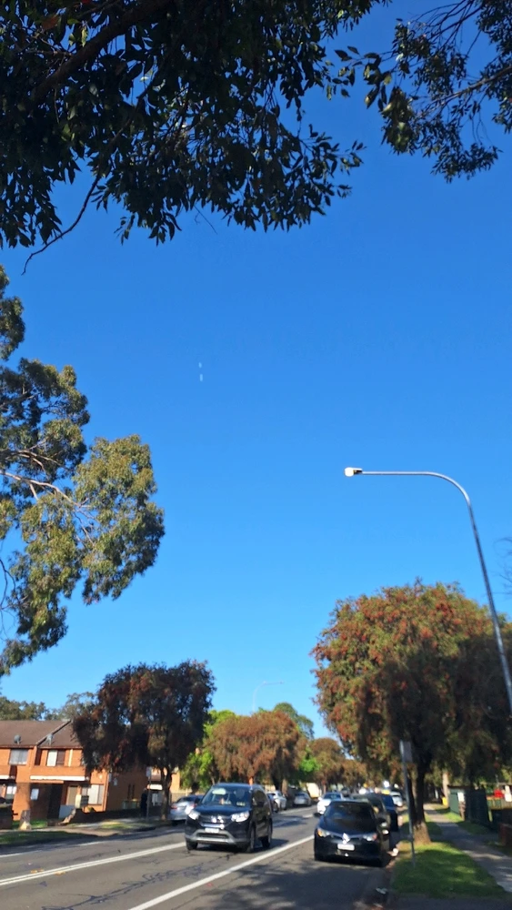 The gulf is deep, disconnection inherent. Lossless sync drowns frequency