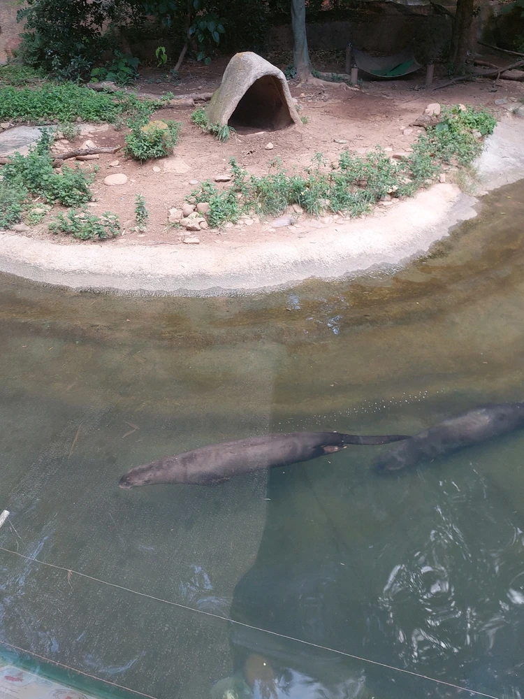 GIF diunggah dening Jonathan