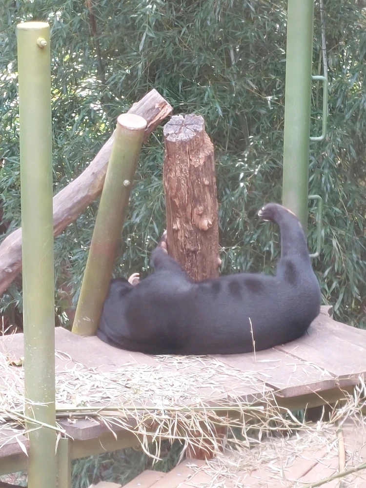 GIF uploaded by Jonathan