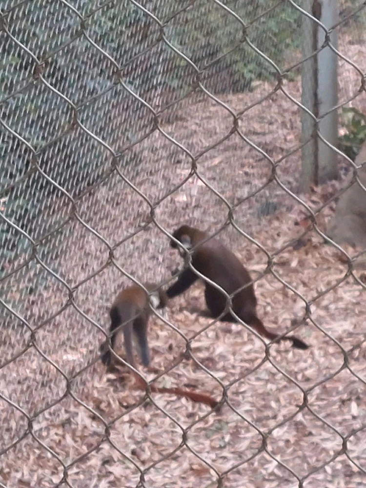 GIF uploaded by Jonathan