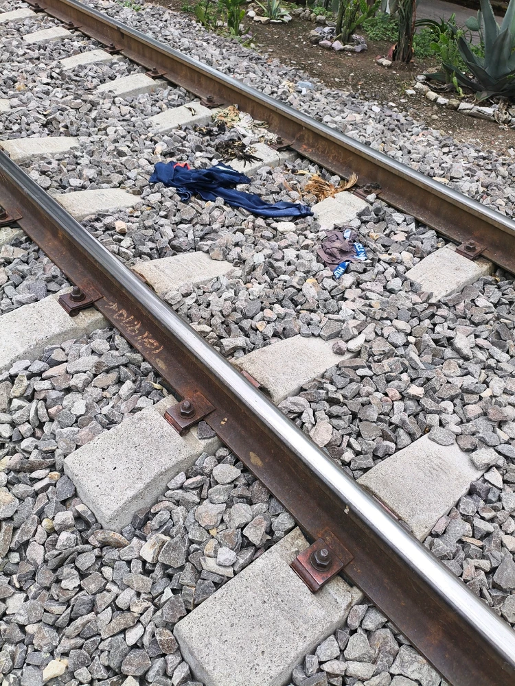 GIF subido por Alberto