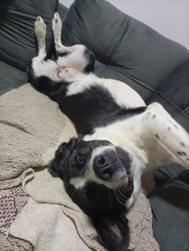 GIF subido por Rayuki