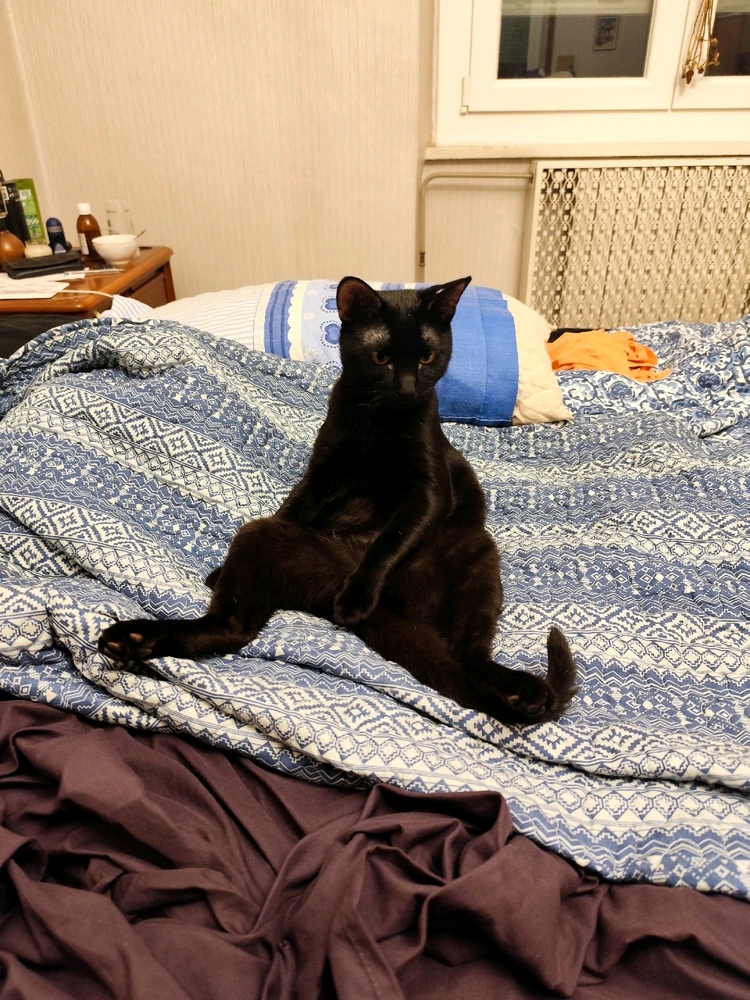 GIF caricata da Hady