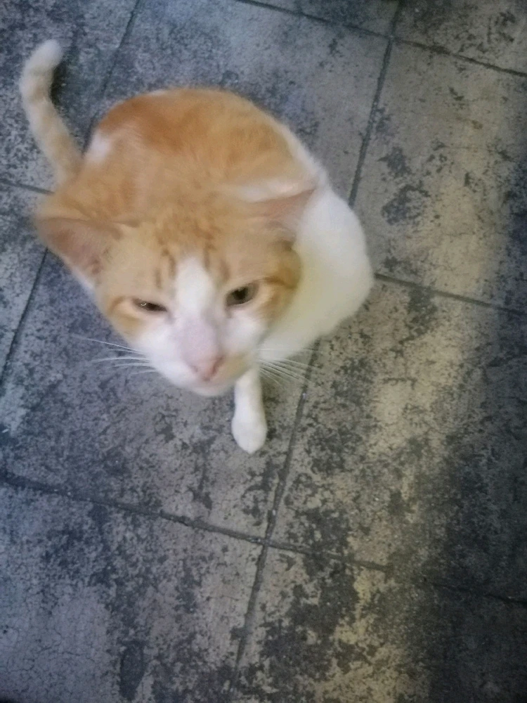 Image uploaded by Lyxhie