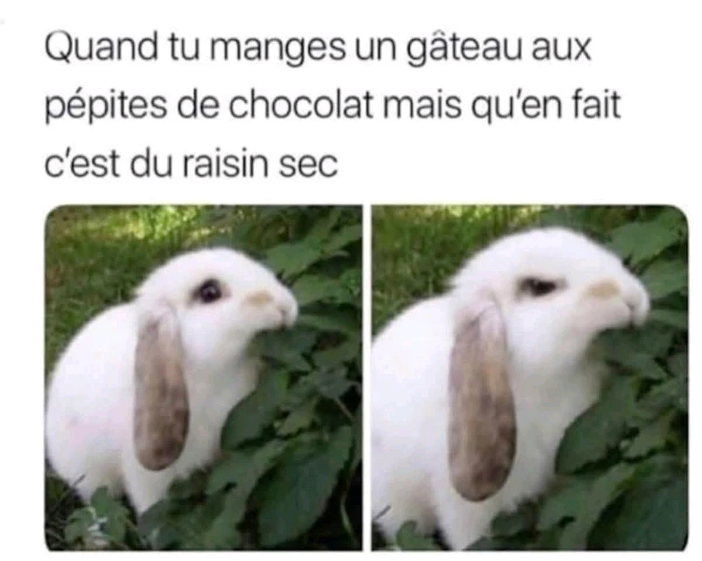 Ca peut gâcher ma journee 😅