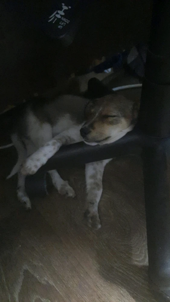 GIF încărcat de Radu