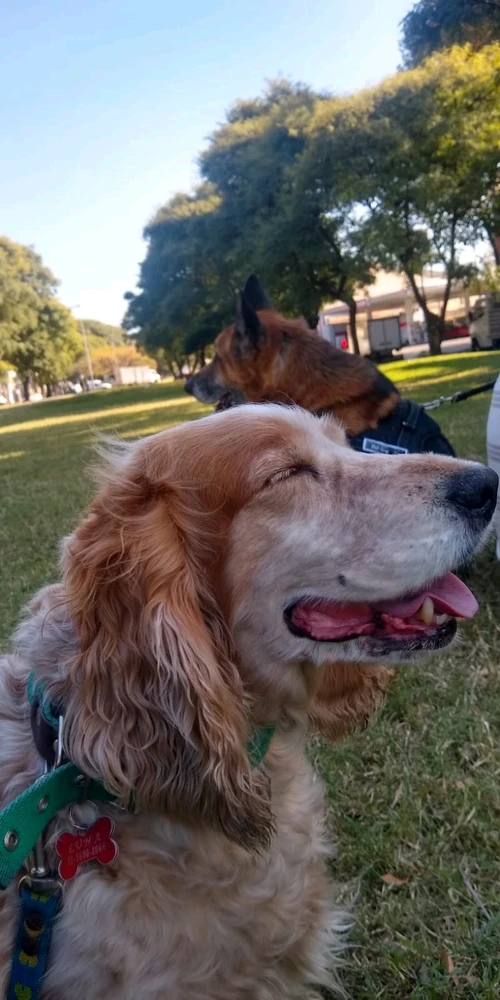 GIF subido por Maximiliano