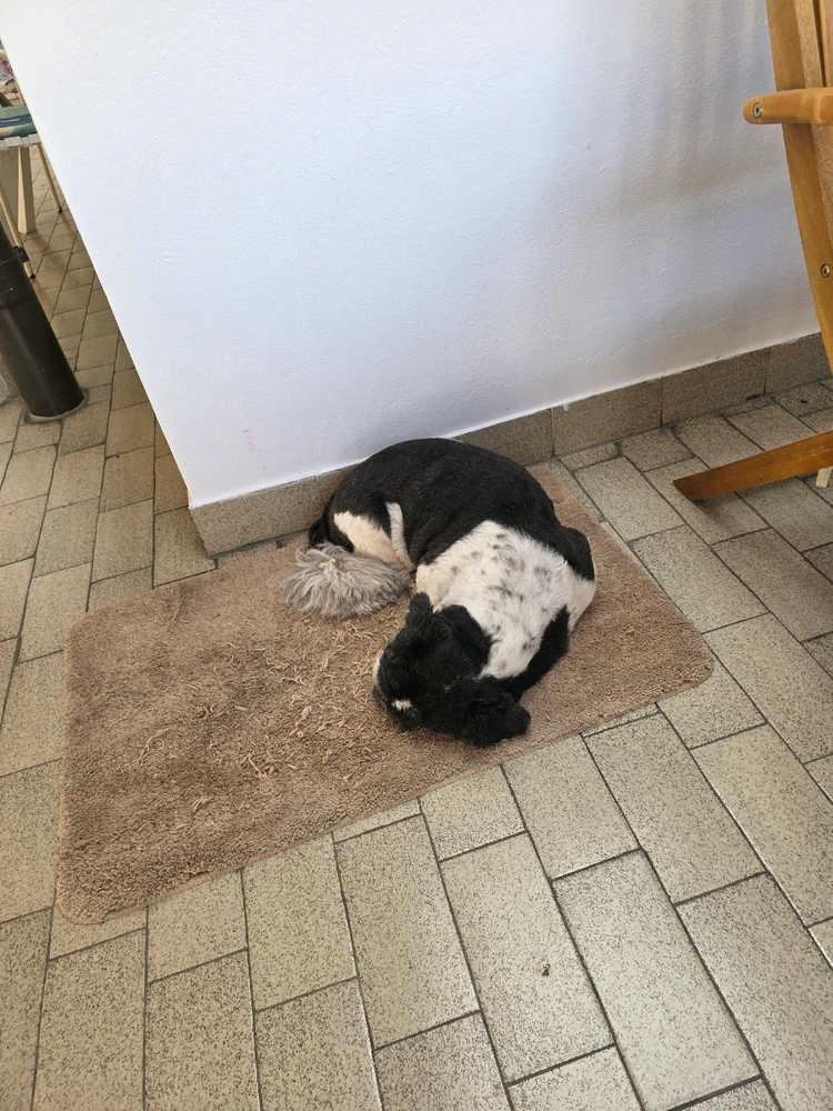 GIF naložil Kevinjan