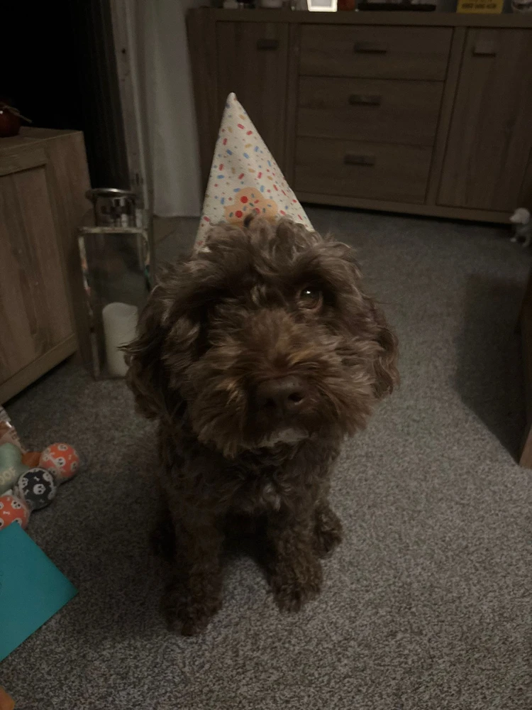 Image uploaded by Conor