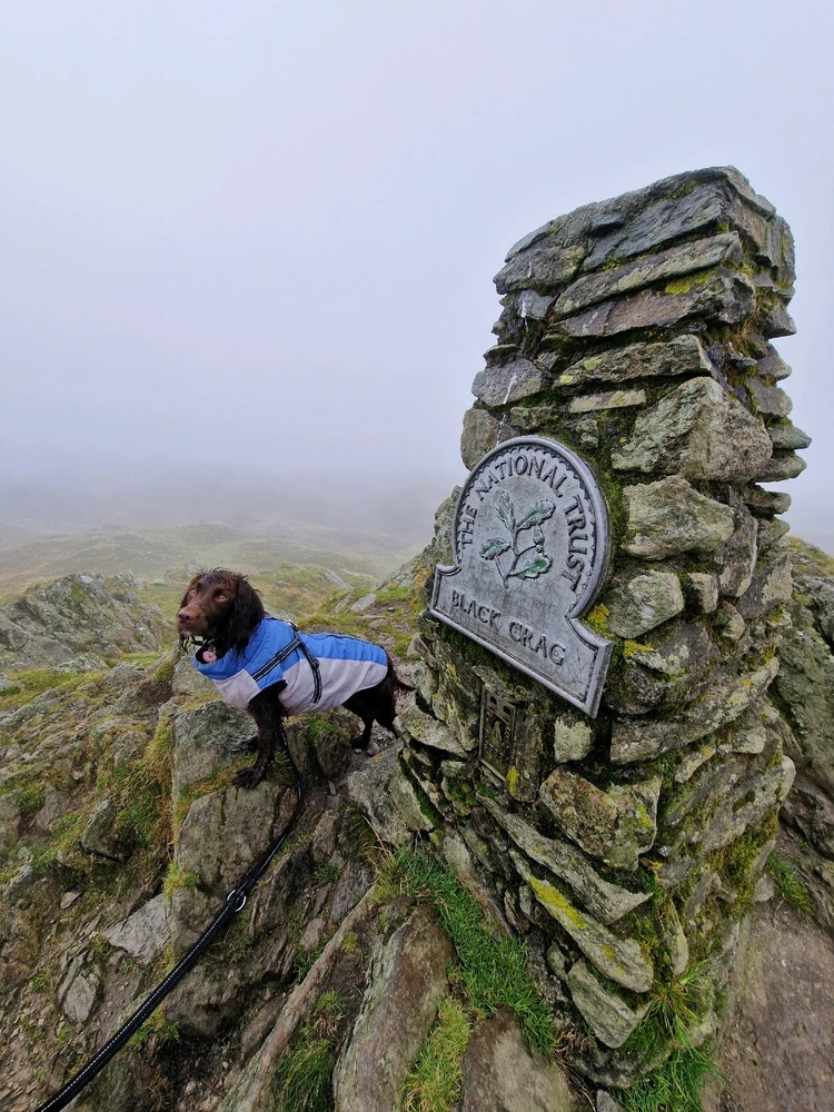 GIF uploaded by Dave