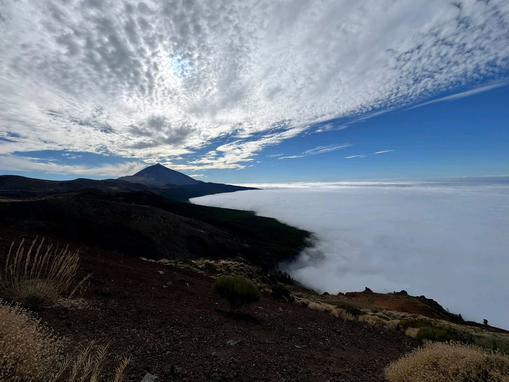 Image uploaded by Steve Dickson-Miller