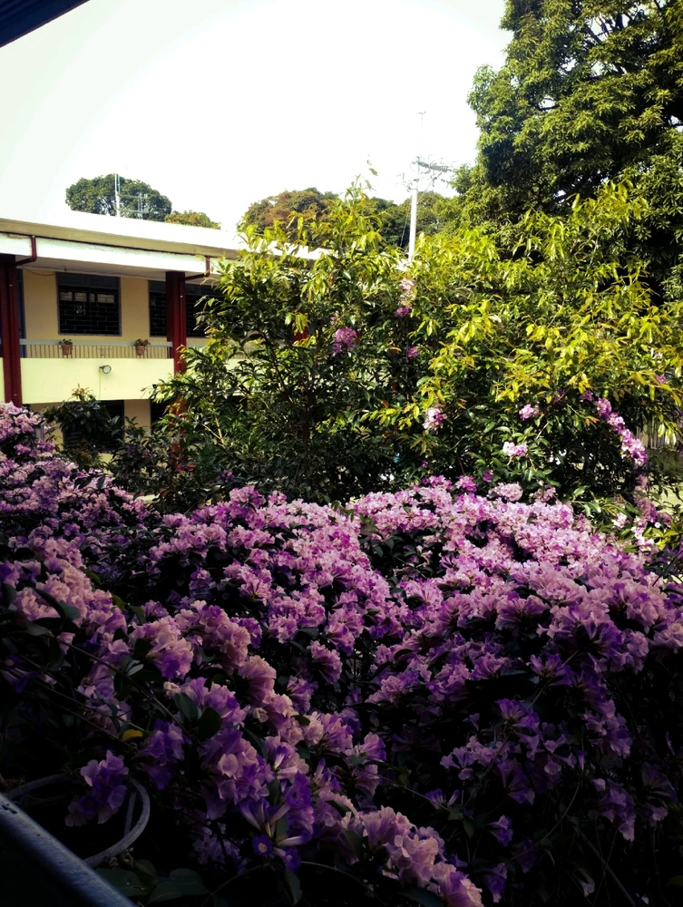 Image uploaded by Lizzie